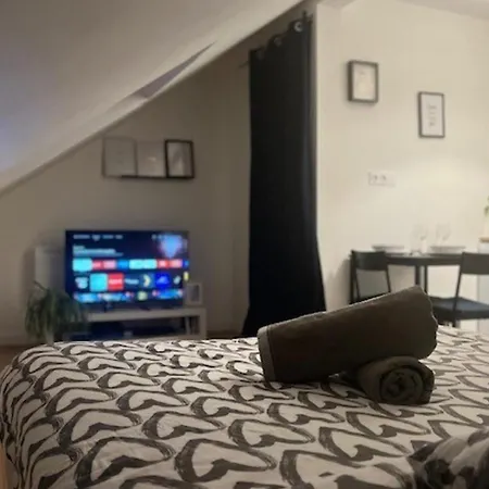 Apartment Cosy Rent Tv Wifi Studio Gare 4 *